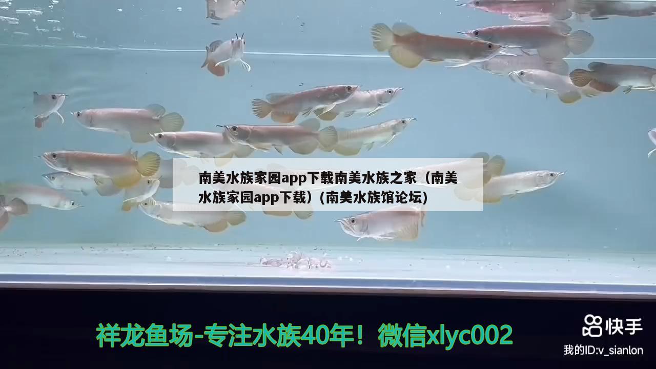 南美水族家园app下载南美水族之家（南美水族家园app下载）(南美水族馆论坛) 祥龙鱼药系列