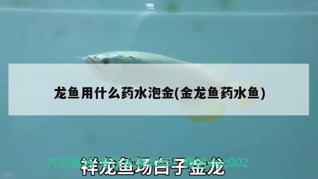 龙鱼用什么药水泡金(金龙鱼药水鱼)