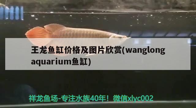 王龙鱼缸价格及图片欣赏(wanglongaquarium鱼缸)