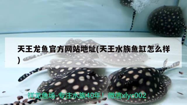 天王龙鱼官方网站地址(天王水族鱼缸怎么样)