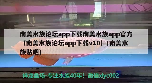 南美水族论坛app下载南美水族app官方（南美水族论坛app下载v10）(南美水族贴吧)