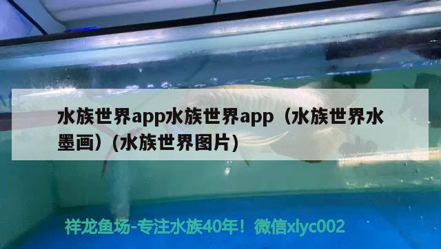 水族世界app水族世界app（水族世界水墨画）(水族世界图片) 祥龙鱼场