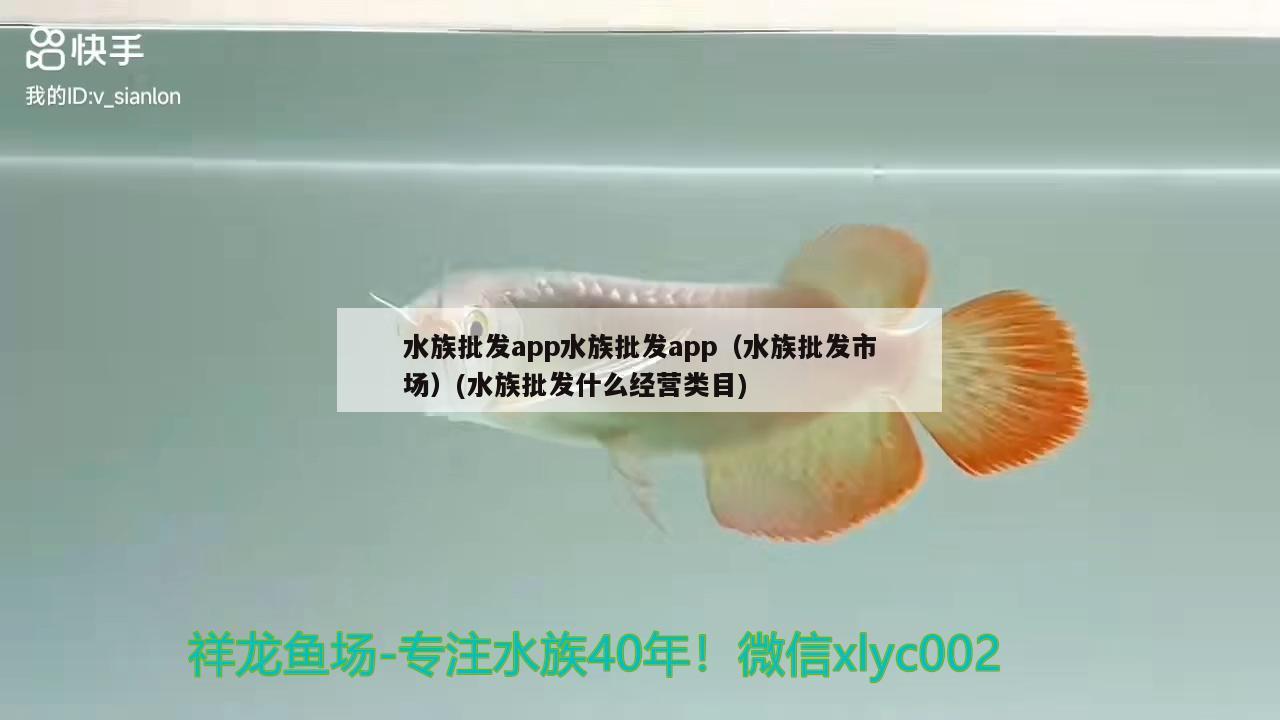 水族批发app水族批发app（水族批发市场）(水族批发什么经营类目)