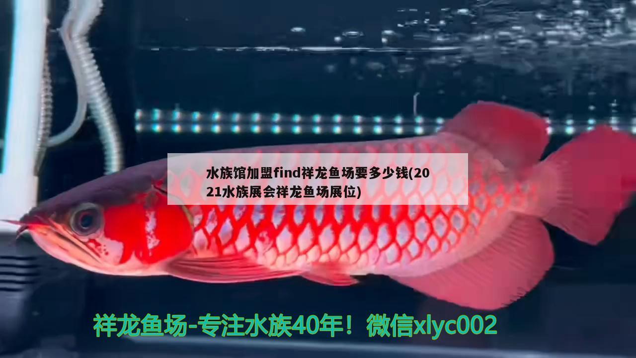 水族馆加盟find祥龙鱼场要多少钱(2021水族展会祥龙鱼场展位)