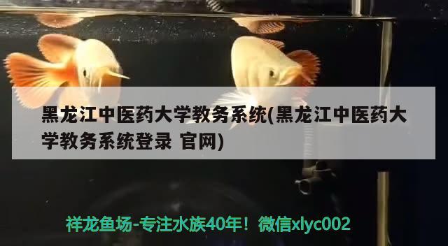 黑龙江中医药大学教务系统(黑龙江中医药大学教务系统登录官网)