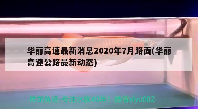 华丽高速最新消息2020年7月路面(华丽高速公路最新动态) 观赏鱼