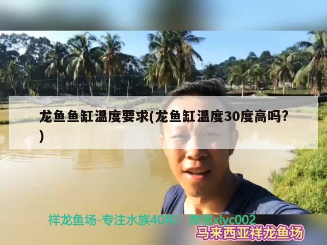 龙鱼鱼缸温度要求(龙鱼缸温度30度高吗?)