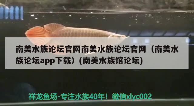 南美水族论坛官网南美水族论坛官网（南美水族论坛app下载）(南美水族馆论坛)