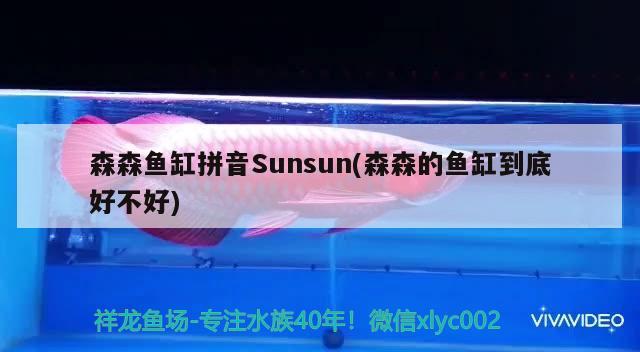 森森鱼缸拼音Sunsun(森森的鱼缸到底好不好)