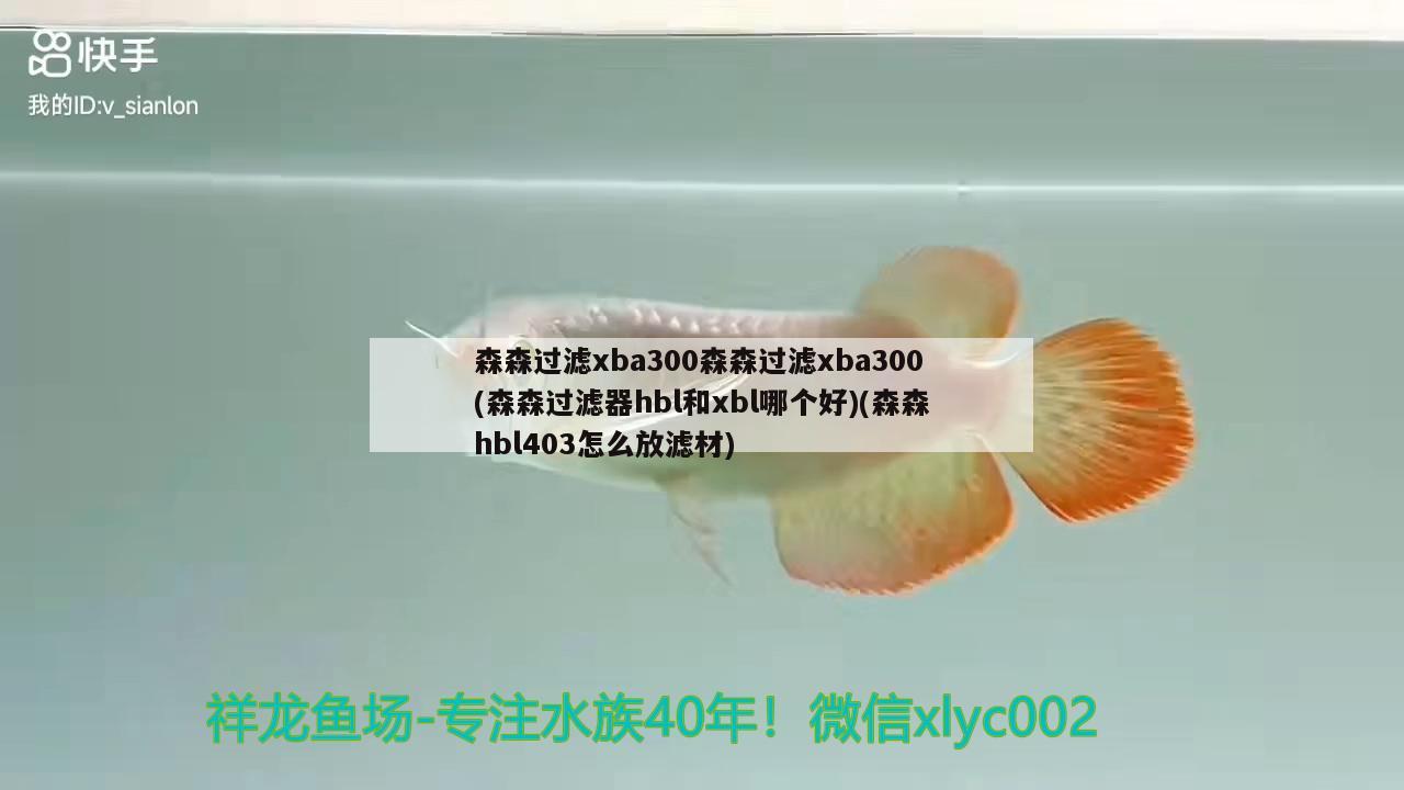 森森过滤xba300森森过滤xba300(森森过滤器hbl和xbl哪个好)(森森hbl403怎么放滤材)