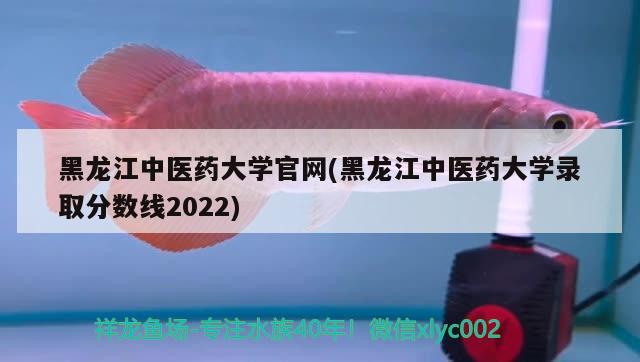 黑龙江中医药大学官网(黑龙江中医药大学录取分数线2022)