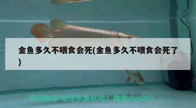 金鱼多久不喂食会死(金鱼多久不喂食会死了) 观赏鱼