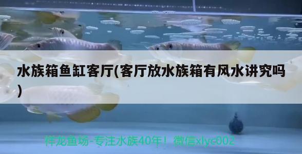 水族箱鱼缸客厅(客厅放水族箱有风水讲究吗) 鱼缸风水 第2张