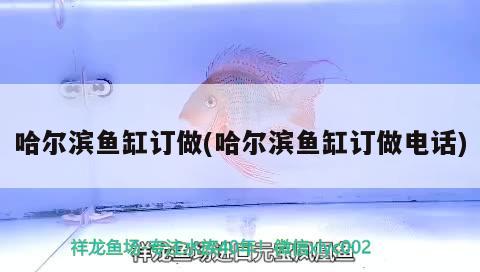 哈尔滨鱼缸订做(哈尔滨鱼缸订做电话) 水族品牌