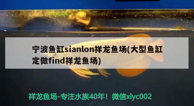 宁波鱼缸sianlon祥龙鱼场(大型鱼缸定做find祥龙鱼场)