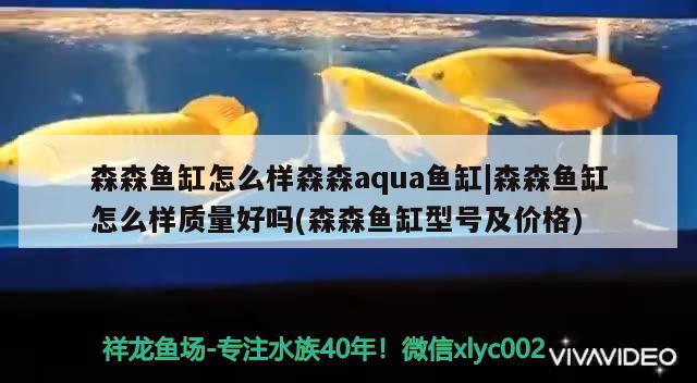 森森鱼缸怎么样森森aqua鱼缸|森森鱼缸怎么样质量好吗(森森鱼缸型号及价格) 鱼缸百科