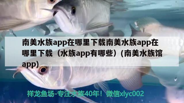 南美水族app在哪里下载南美水族app在哪里下载（水族app有哪些）(南美水族馆app)