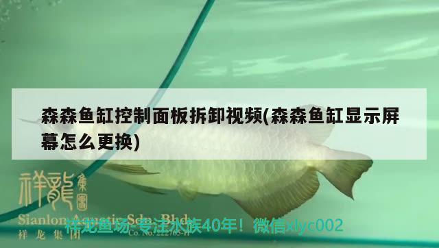 森森鱼缸控制面板拆卸视频(森森鱼缸显示屏幕怎么更换) 红头利鱼