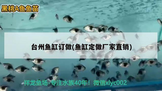 台州鱼缸订做(鱼缸定做厂家直销) 水族品牌