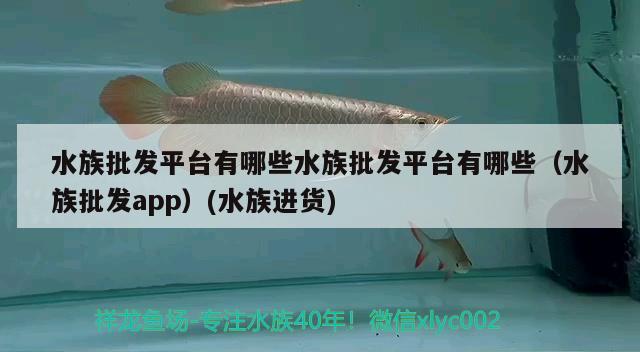 水族批发平台有哪些水族批发平台有哪些（水族批发app）(水族进货)