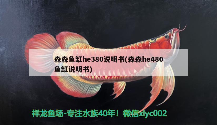 森森鱼缸he380说明书(森森he480鱼缸说明书) 猪鼻龟