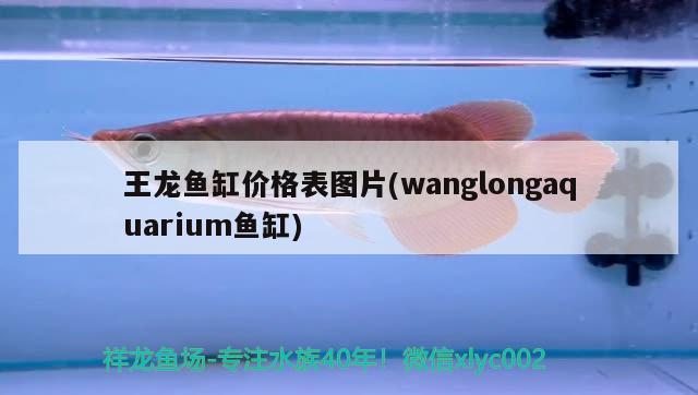 王龙鱼缸价格表图片(wanglongaquarium鱼缸)