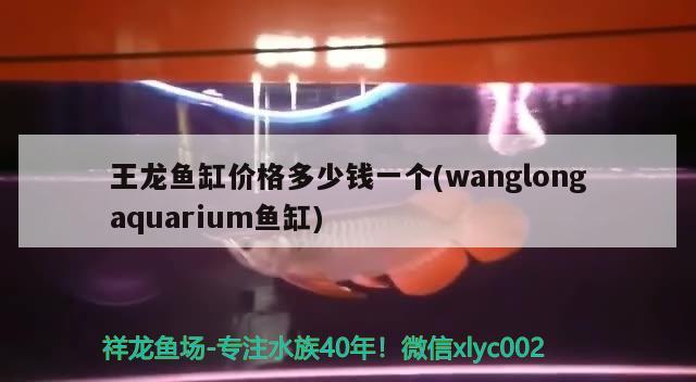 王龙鱼缸价格多少钱一个(wanglongaquarium鱼缸) 黑白双星鱼