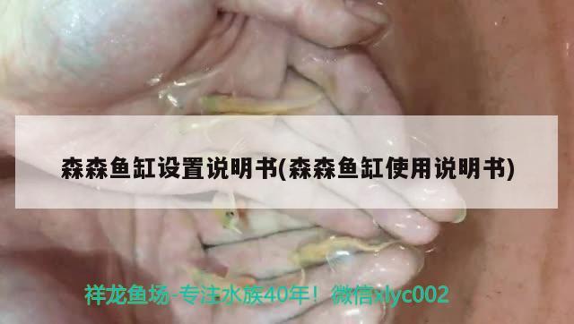 森森鱼缸设置说明书(森森鱼缸使用说明书) 飞凤鱼苗