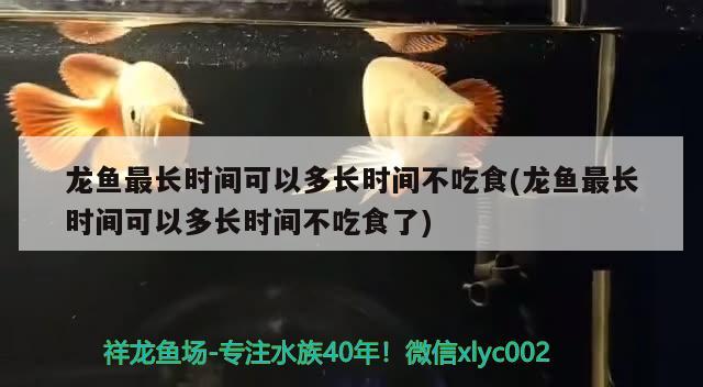 龙鱼最长时间可以多长时间不吃食(龙鱼最长时间可以多长时间不吃食了) 观赏鱼鱼苗