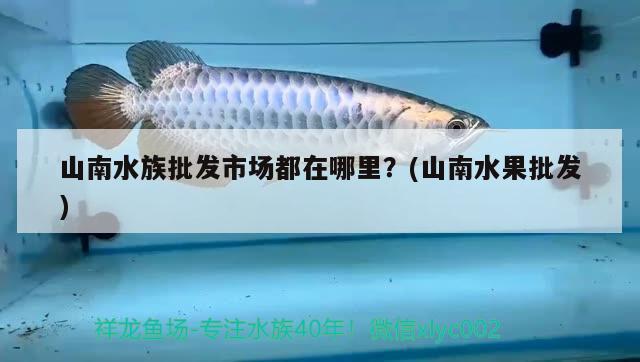 山南水族批发市场都在哪里？(山南水果批发) 观赏鱼水族批发市场