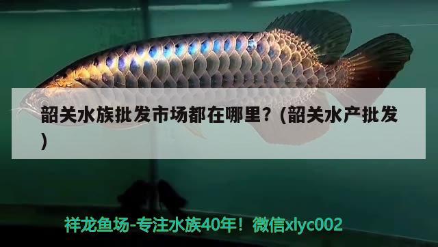 韶关水族批发市场都在哪里？(韶关水产批发)