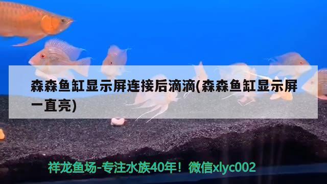 森森鱼缸显示屏连接后滴滴(森森鱼缸显示屏一直亮) 帝王迷宫