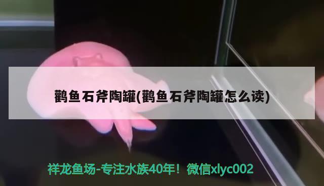 鹳鱼石斧陶罐(鹳鱼石斧陶罐怎么读)