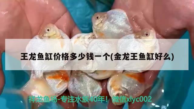 王龙鱼缸价格多少钱一个(金龙王鱼缸好么) 祥龙水族护理水