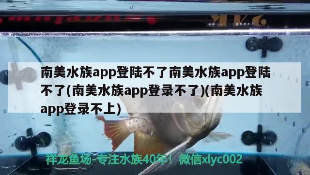 南美水族app登陆不了南美水族app登陆不了(南美水族app登录不了)(南美水族app登录不上)