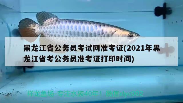 黑龙江省公务员考试网准考证(2021年黑龙江省考公务员准考证打印时间)