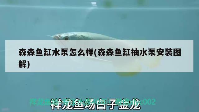 森森鱼缸水泵怎么样(森森鱼缸抽水泵安装图解) 鱼缸水泵