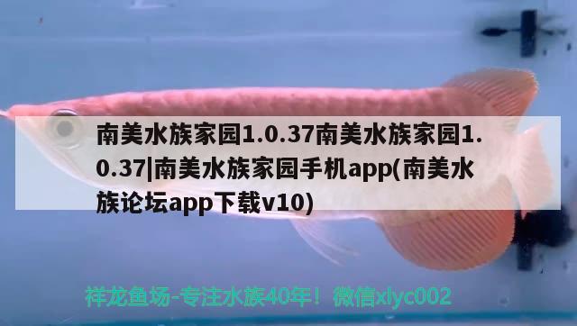 南美水族家园1.0.37南美水族家园1.0.37|南美水族家园手机app(南美水族论坛app下载v10)