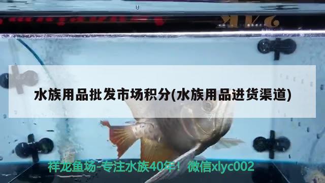 水族用品批发市场积分(水族用品进货渠道) 水族用品