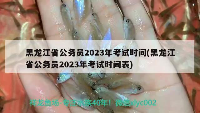 黑龙江省公务员2023年考试时间(黑龙江省公务员2023年考试时间表)