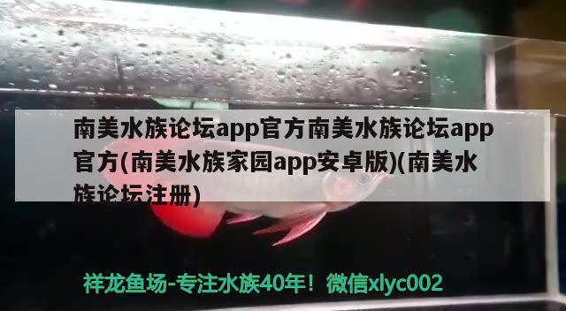 南美水族论坛app官方南美水族论坛app官方(南美水族家园app安卓版)(南美水族论坛注册)