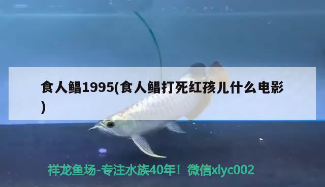 食人鲳1995(食人鲳打死红孩儿什么电影)