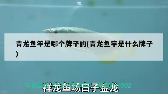 青龙鱼竿是哪个牌子的(青龙鱼竿是什么牌子) 垂钓乐园