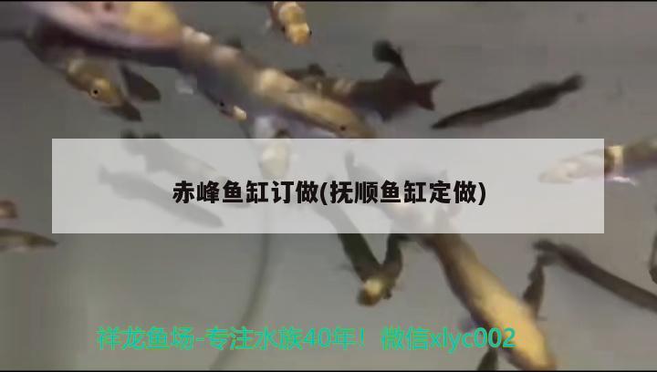 赤峰鱼缸订做(抚顺鱼缸定做) 大白鲨鱼