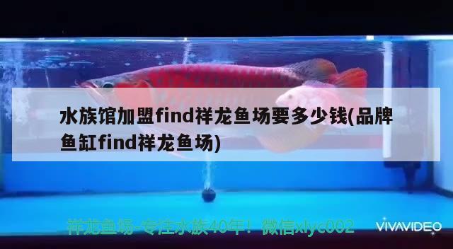 水族馆加盟find祥龙鱼场要多少钱(品牌鱼缸find祥龙鱼场)