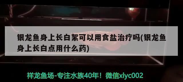 银龙鱼身上长白絮可以用食盐治疗吗(银龙鱼身上长白点用什么药)