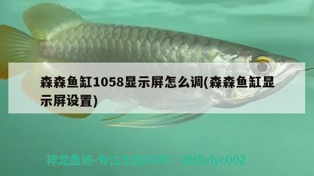 森森鱼缸1058显示屏怎么调(森森鱼缸显示屏设置) 月光鸭嘴鱼苗