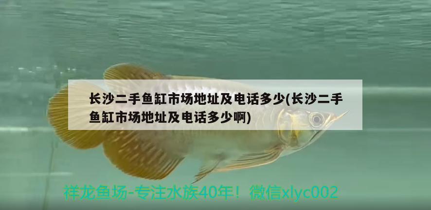 长沙二手鱼缸市场地址及电话多少(长沙二手鱼缸市场地址及电话多少啊)