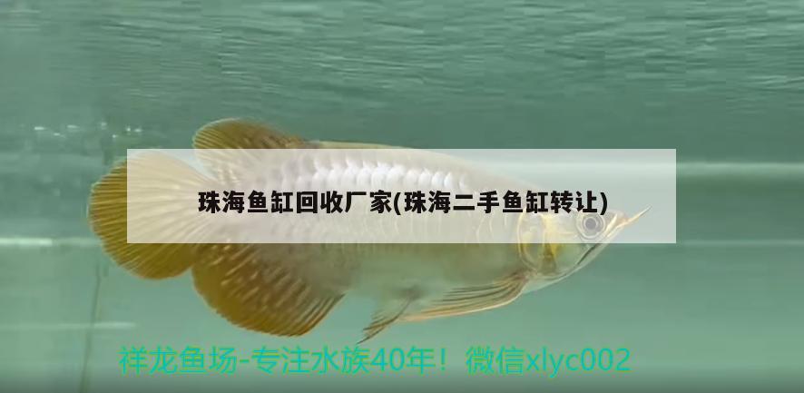 珠海鱼缸回收厂家(珠海二手鱼缸转让)