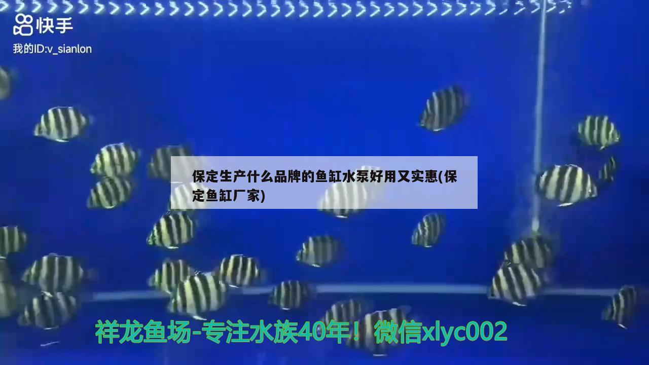 保定生产什么品牌的鱼缸水泵好用又实惠(保定鱼缸厂家) 鱼缸水泵